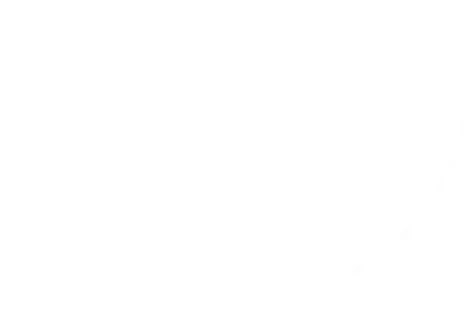 Vector 1