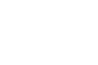 NST_icon