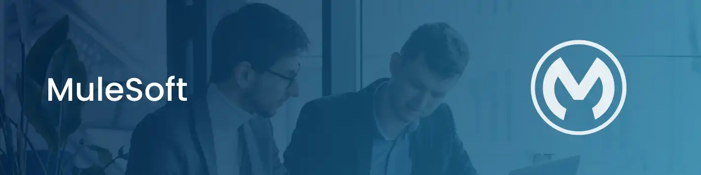 MuleSoft integration